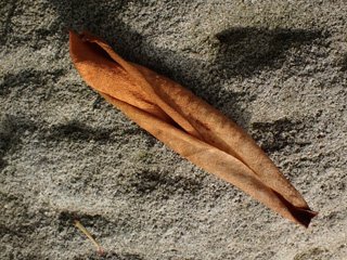 P1053770a.jpg